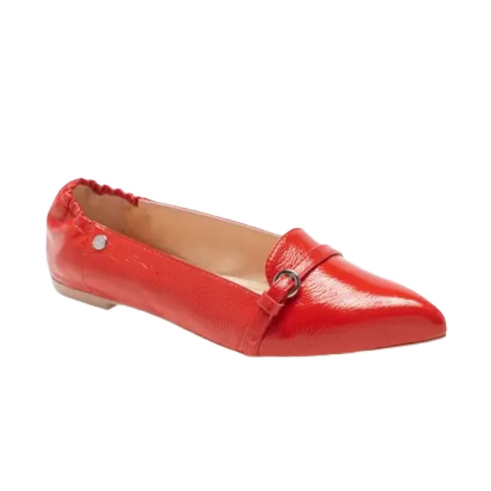 AGL Buckle Detail Pointed Toe Ballet Flat NWOT